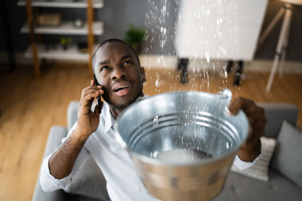 Best Carpet water damage restoration  in Ironton, OH