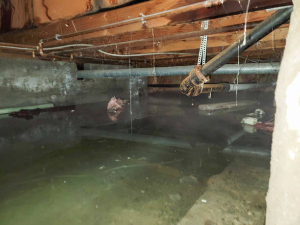 Best Water damage restoration near me  in Ironton, OH