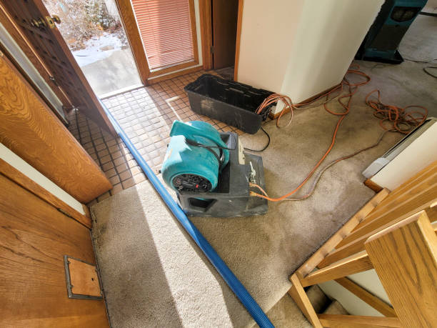Best 24/7 water damage repair  in Ironton, OH