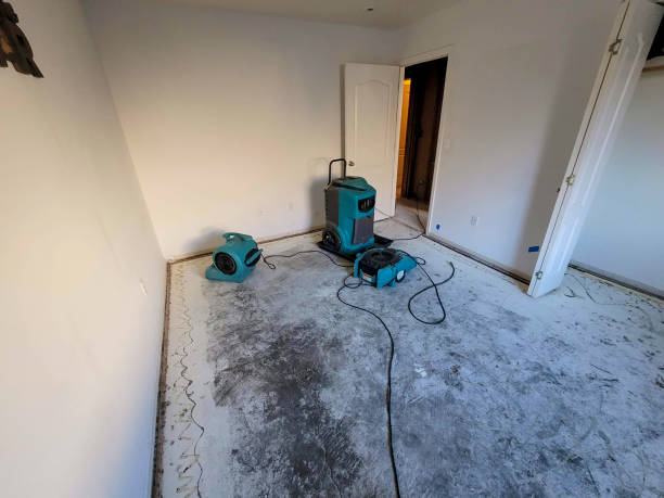 Best Flooded house restoration  in Ironton, OH