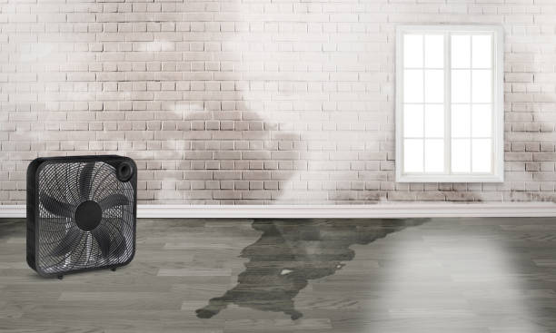 Best 24-hour water damage restoration  in Ironton, OH