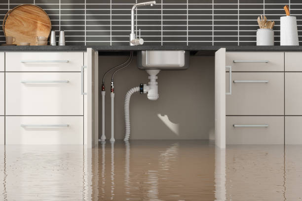Best Flood restoration services  in Ironton, OH