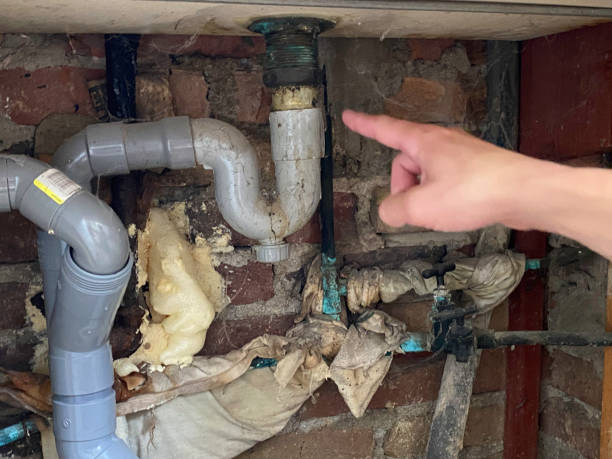 Best Basement water damage restoration  in Ironton, OH