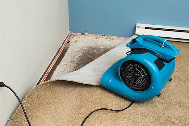Best Flood damage cleanup  in Ironton, OH